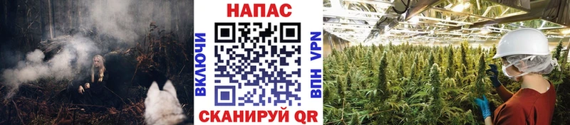 Купить закладку Гашиш  СК  Меф  Галлюциногенные грибы  COCAIN  Конопля  Бабушкин