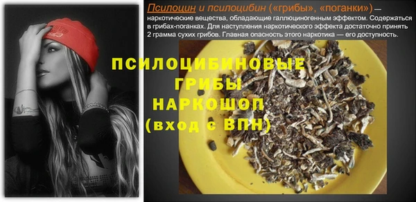 хмурый Арсеньев