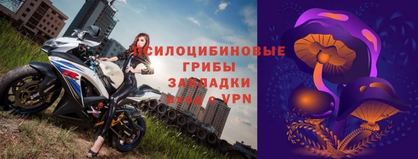 дмт Нязепетровск