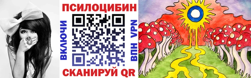 Галлюциногенные грибы Psilocybine cubensis  Купить закладки  Бабушкин 